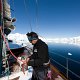 Antarctica (1)